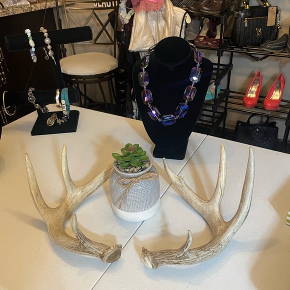 🦌4x4.5 Point Matching Whitetail Antler Set - Picture 3 of 8
